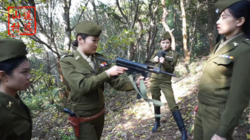 0fz1se4jzoy.jpg